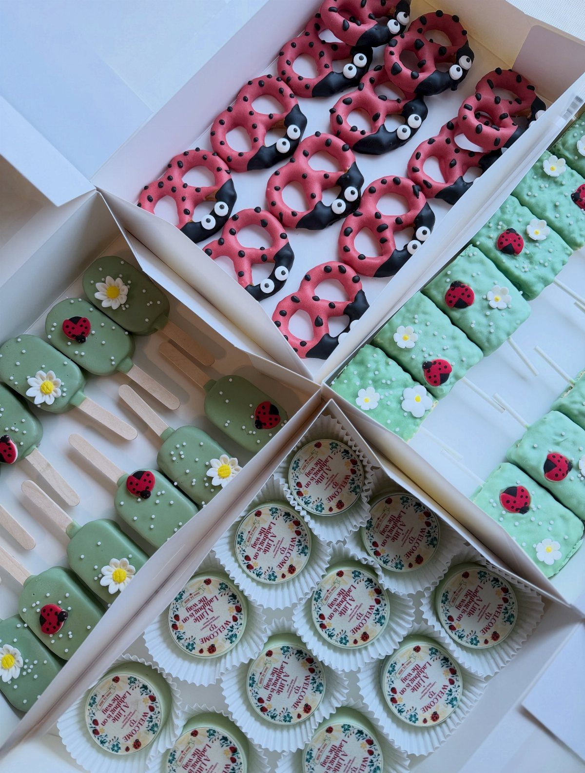 Ladybug themed treats including red pretzels, green cake pops, and floral cookies.