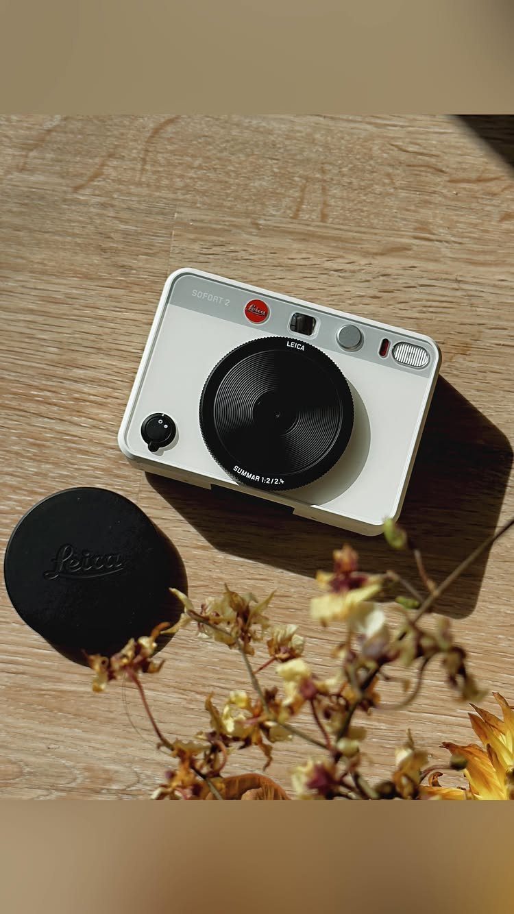 White Leica digital camera on a wooden table with dried yellow flowers.