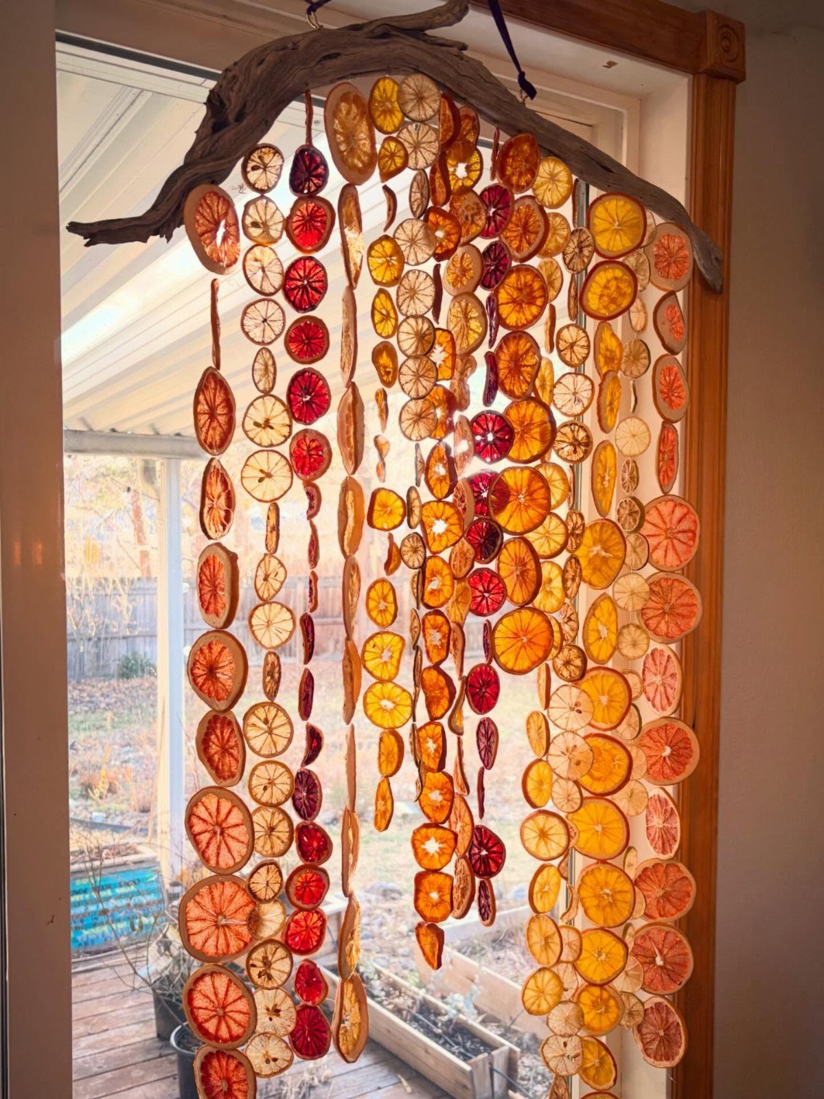 Dried orange slices hanging in vertical garlands from a wooden branch by a window