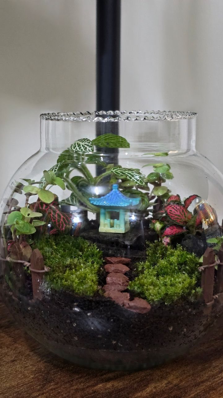 Glass terrarium with a miniature pagoda, green moss, and small plants on wood.