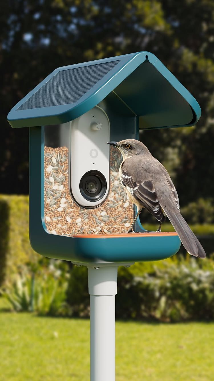 Bird feeder camera with a solar panel and a small bird perched on it.