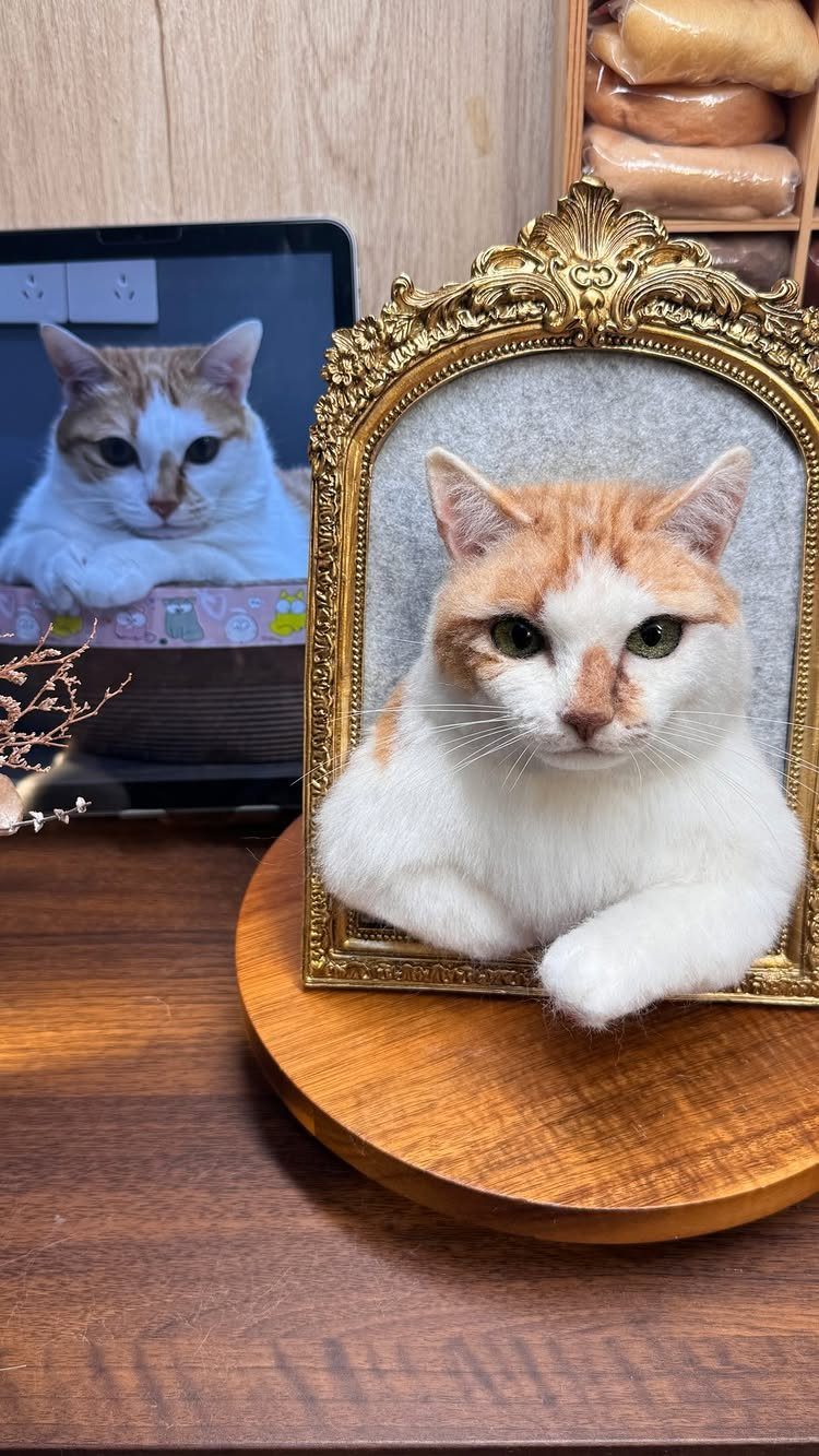 Needle-felted cat sculpture in a gold frame next to a reference photo