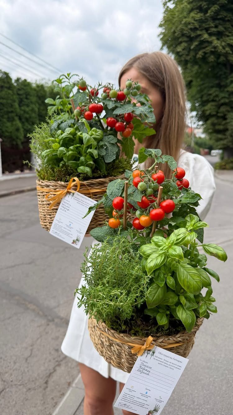 Two woven baskets filled with fresh herbs and cherry tomatoes held by a woman.