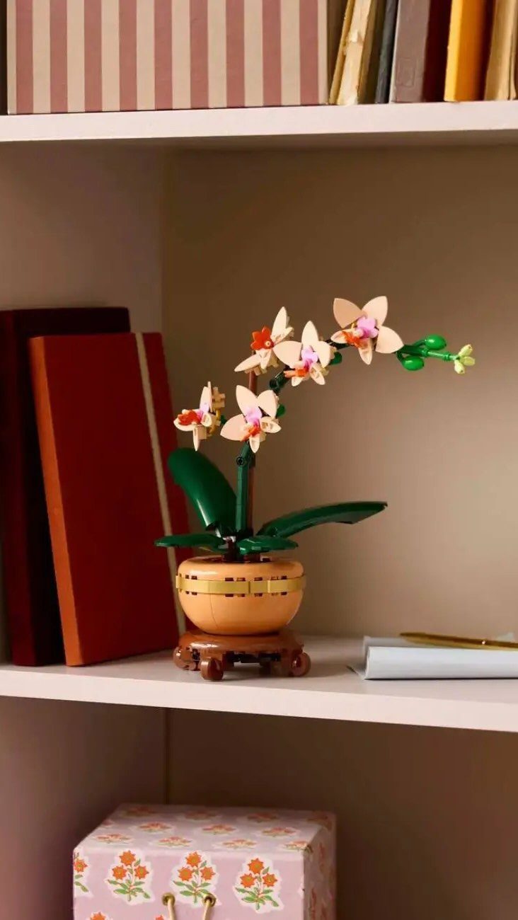 LEGO Botanicals Orchid set with white flowers in a pot on a shelf