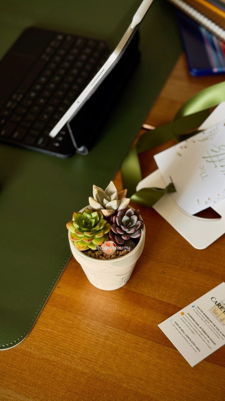 Small potted succulents on a wooden desk next to a tablet and keyboard